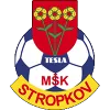 TeslaStropkov logo