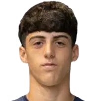 Valentín Alejandro Pezzolesi logo