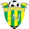 FC Muzychi logo