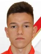 Mihajlo Nešković logo