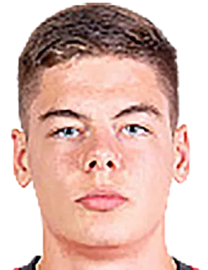 Maksim Vedeneev logo