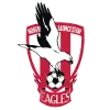 North Launceston Eagles logo