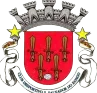 CD Sao Salvador logo