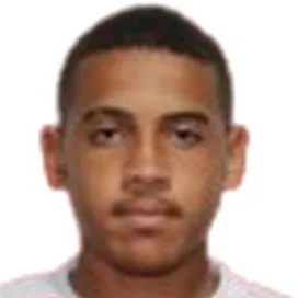 Vinicius kahuan logo