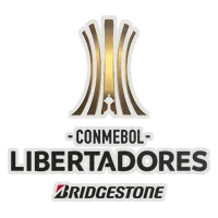 CONMEBOL Copa Libertadores photo 