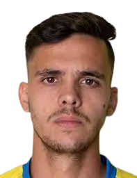 Henrique Manuel Neiva De Almeida Martins portrait