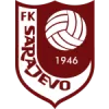 Sarajevo U19 logo