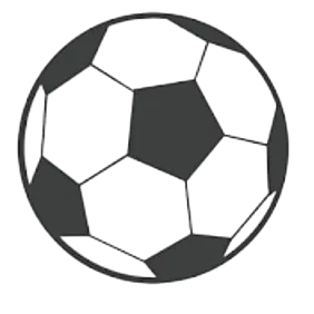 CSyD Rio Dorado logo