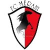Merani Martvili U19 logo
