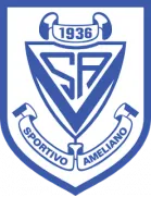 Sportivo Ameliano logo