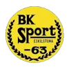 BK Sport logo