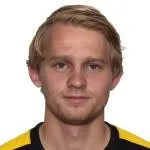 Martin Petterson Heiberg logo