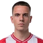 Vladimir prijovic logo