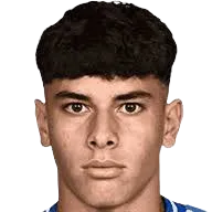 Federico Nardin logo