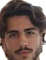 Abdullah Dijlan Aydin logo