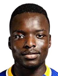 Nana Dwomoh Akosah-Bempah logo