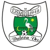 Dulova Ves logo