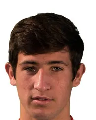 Fernando Alfaro logo