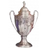 Northern Irish cup winner logo