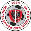 SK Bystrice Nad Perntejnem logo