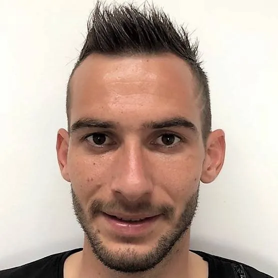 Cristian Nicolae Nedelcovici logo