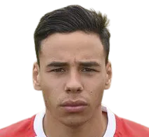 Francisco Pedro Tiago Silva logo