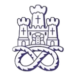 Newcastle Town FC logo