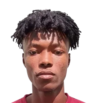 Mohammed Salifu logo