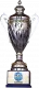 Honduran cup winner logo