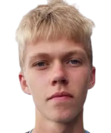 sjurdur henriksen logo