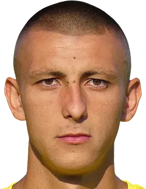 dimitar avramov logo