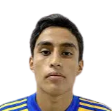 Fernando González Peña logo