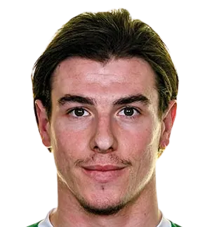 Trpimir Vrljicak logo