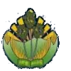 Kampong Speu Province logo