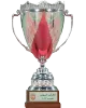 Bahraini Supercup Winner logo