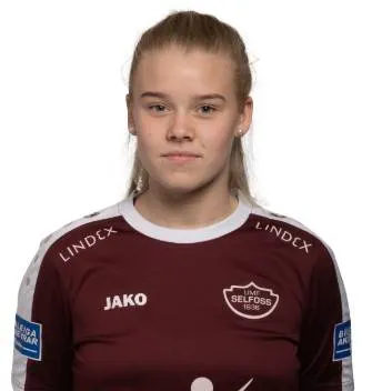 B. Gísladóttir logo