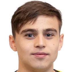 Emir Derviskadic logo