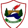 SD Raiders FC logo