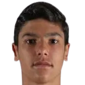 Nicolas Bosshardt logo