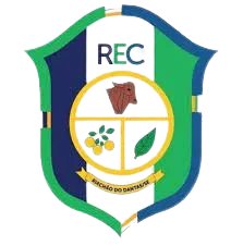 Riachao SE U20 logo