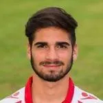 Matteo Gerbaudo logo