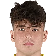 Ioan Vermeșan photo 