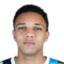 Viery Fernandes logo