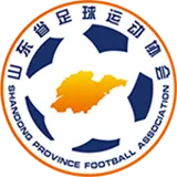ShanDong JFSS (w) logo
