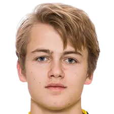 Oskar Fallenius photo 