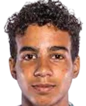 mitchell nooijer de logo