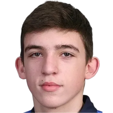 Andrey stefanishin logo