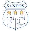 Santos de Nasca Reserves logo
