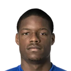 Tsiy William Ndenge logo