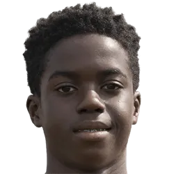 Gabriel Osei Misehouy logo